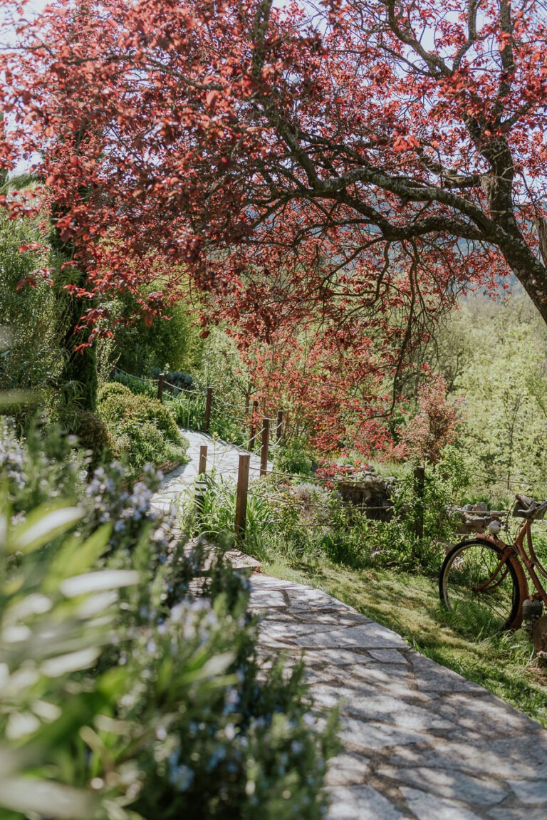 mas 5 fontaines photo nencioni (10)